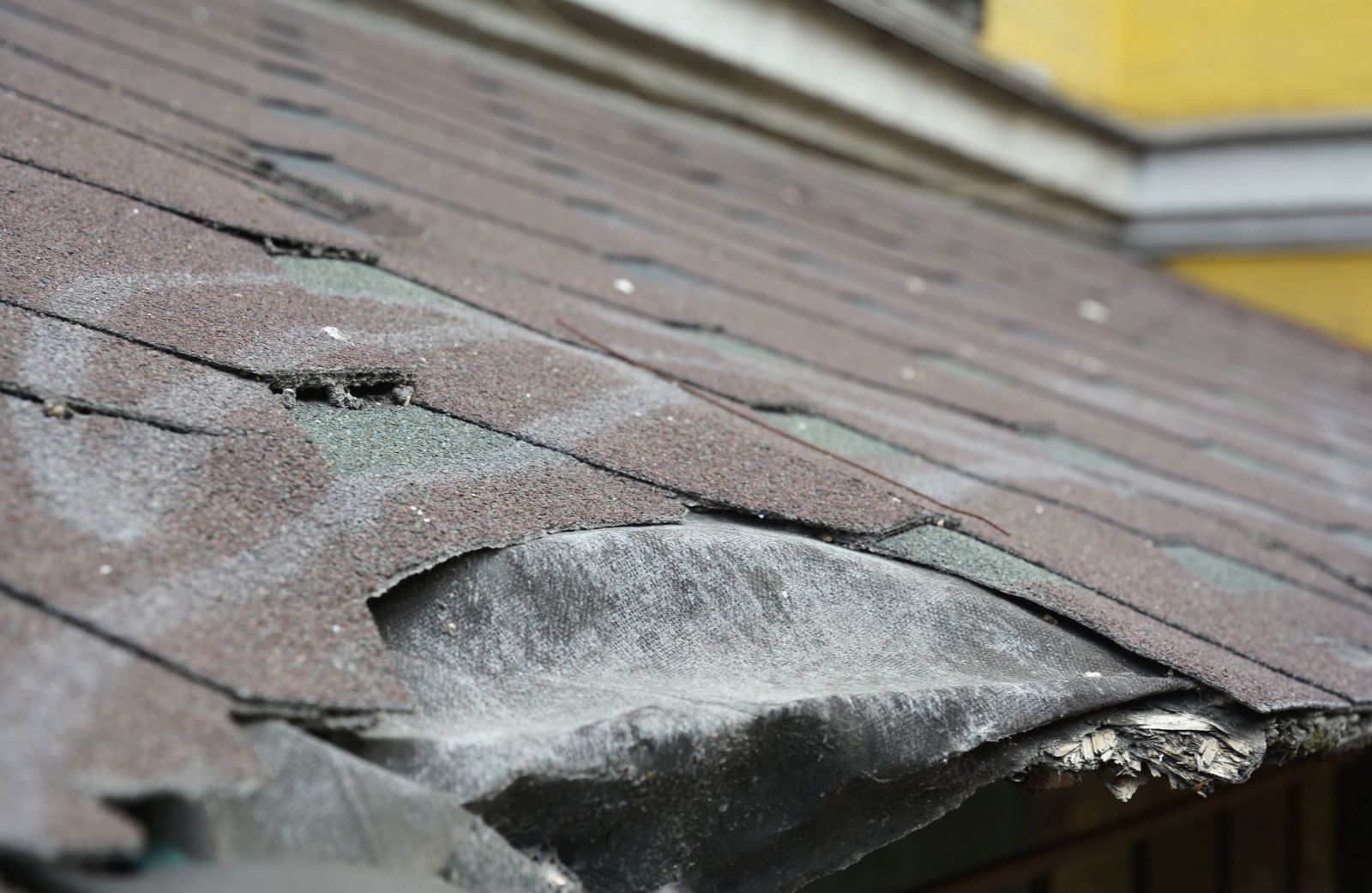 Atlas Roofing Pros Images